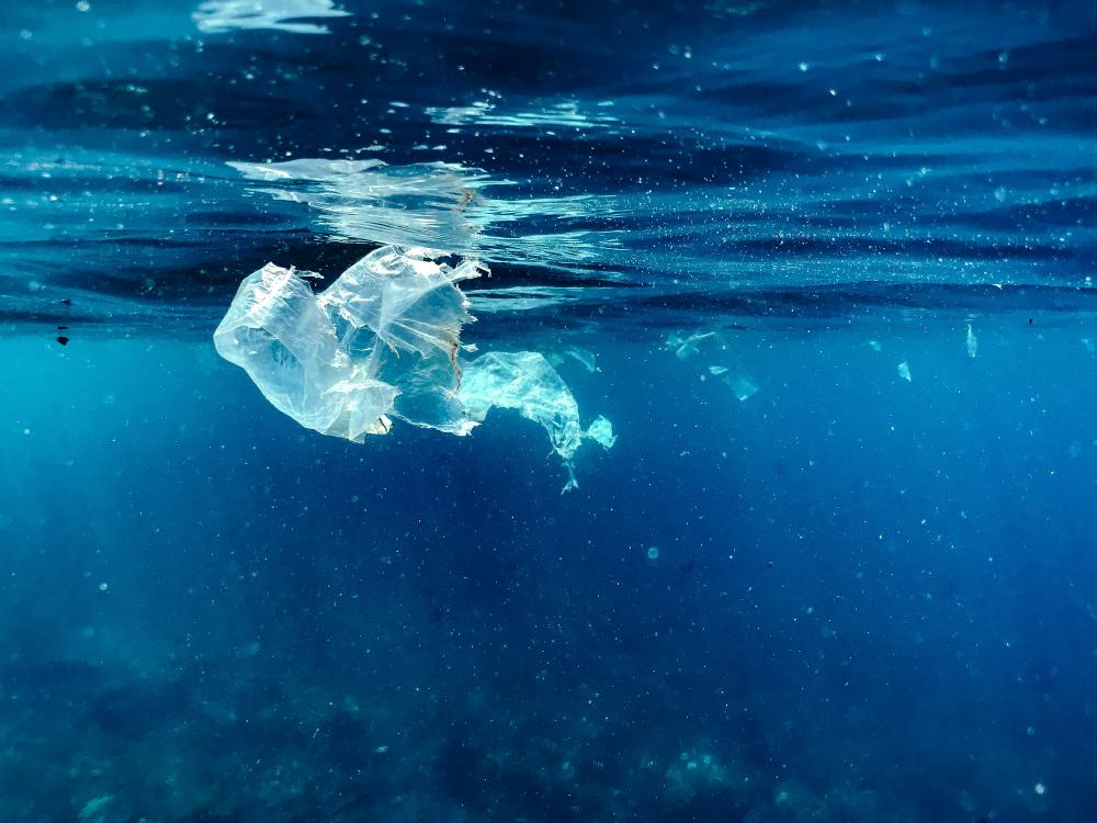 Novel Edge-AI system for accurate and near real-time plastic detection and monitoring in marine environment
