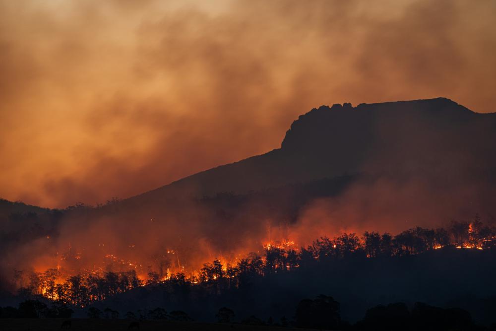 Wildfire Smoke Detection